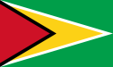 Guyana Internacional de nombres de dominio